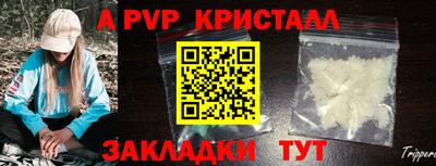 тгк Гай