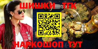 тгк Гай