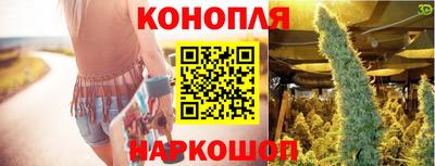 тгк Гай